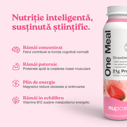 One Meal Shake Strawberry / 12 mese